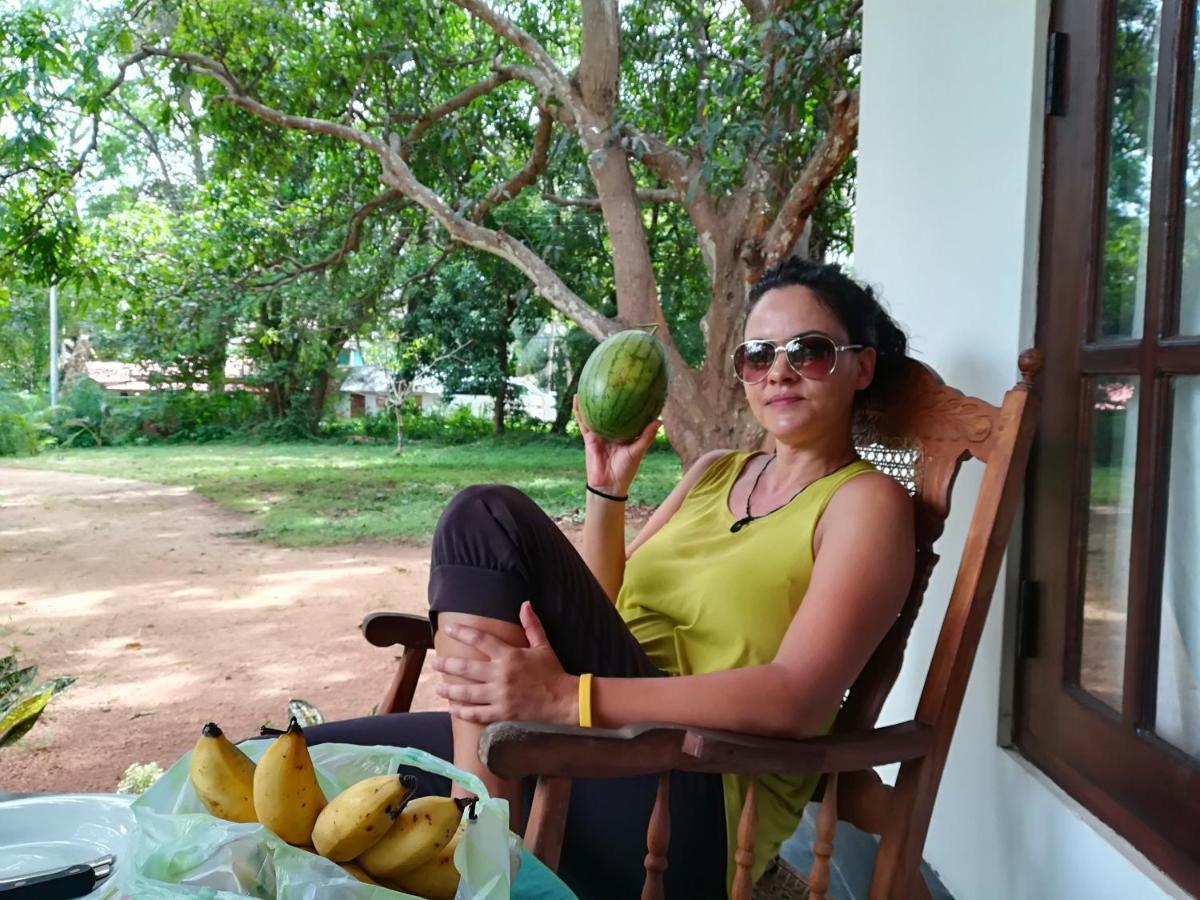 Sigiri Veenus Paradise Σιγκιρίγια Εξωτερικό φωτογραφία